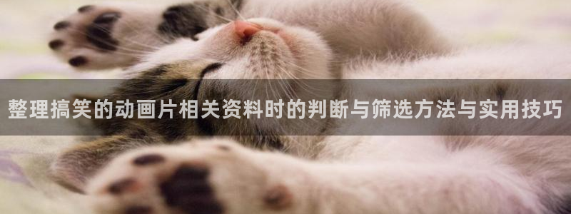 哔哩动漫