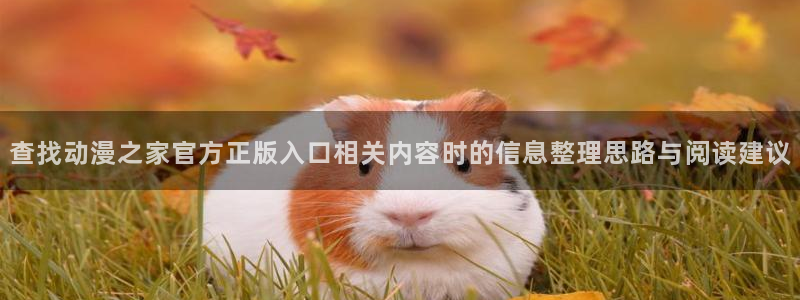 儿童动画片推荐:查找动漫之家官方正版入口相关内容时的信息整理思路与阅读建议